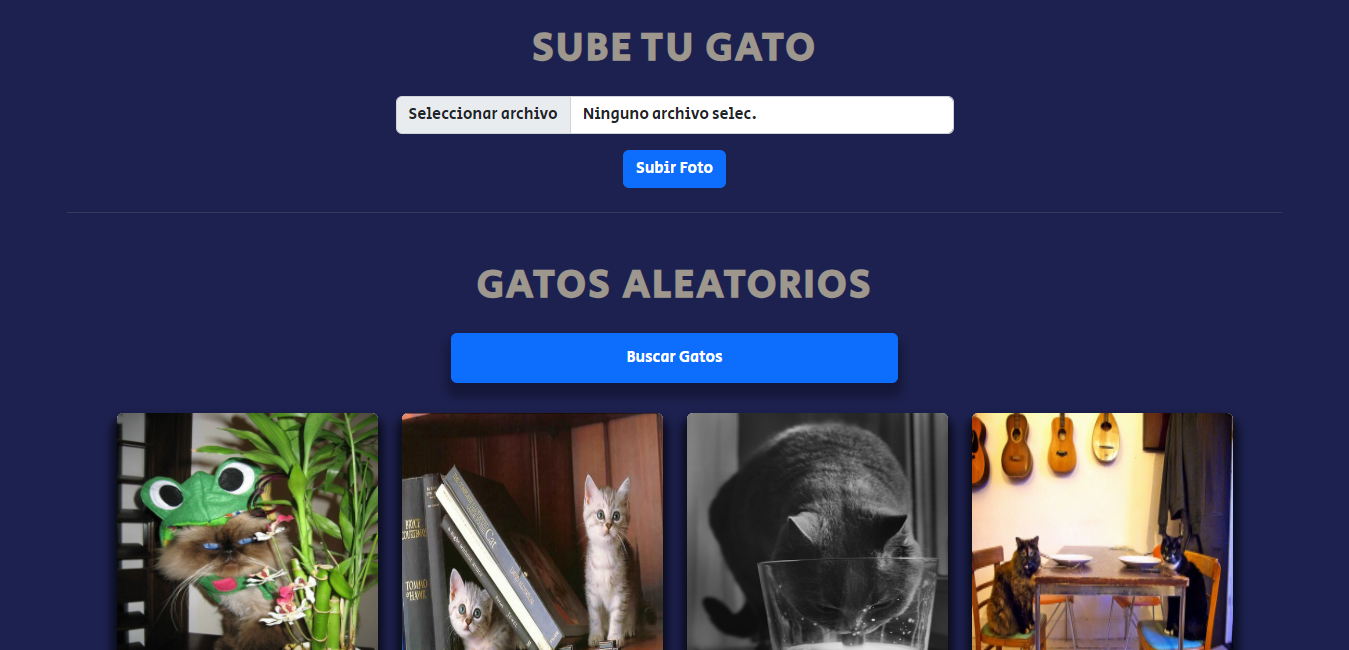 Consumo de API REST con Javascript que muestra diferentes fotos aleatorias